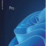 Sw Ms Windows 11 Pro 64-Bit - Esd