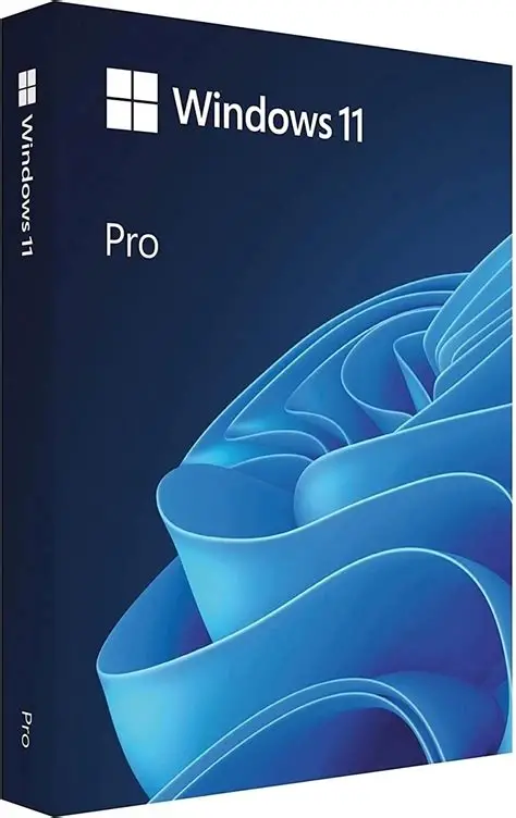 Sw Ms Windows 11 Pro 64-Bit - Esd